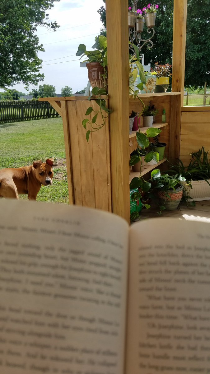 Good book, back porch, perfect weather, and our new pup. I'd say that's a pretty good way to spend the day! #JRESreads