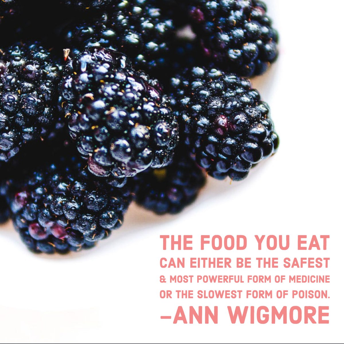 JMorantensen's tweet photo. #FoodIsMedicine https://t.co/kReS3e3stm