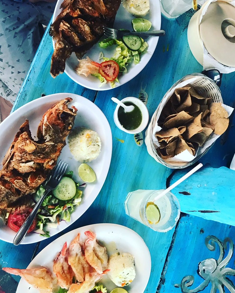 Fried fish, lobster, seafood chowder... which will it be today? All of the above are local specialties in Puerto Morelos.🍤🍲 ⁣
⁣⁣
📸: bir_diee ⁣⁣⁣⁣⁣⁣via IG