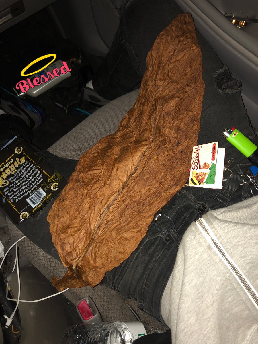 WithInKilo's tweet image. rt for goodluck