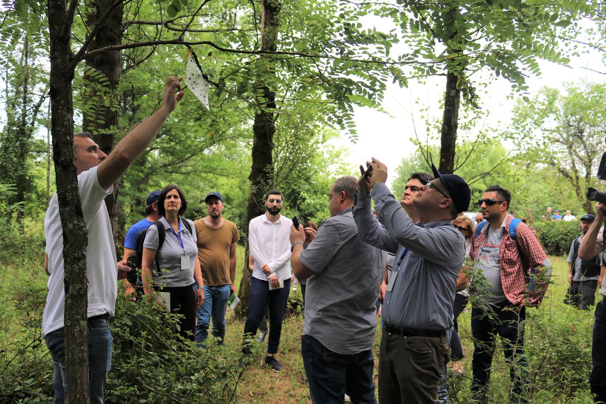 nfageorgia's tweet photo. Georgia’s experience in fighting against Brown Marmorated Stink Bug (BMSB) is exemplary and truly impressive” – The evaluation of EPPO's experts on measures  taken against BMSB by Georgian Government. #EPPO https://t.co/05h7RikvPu
