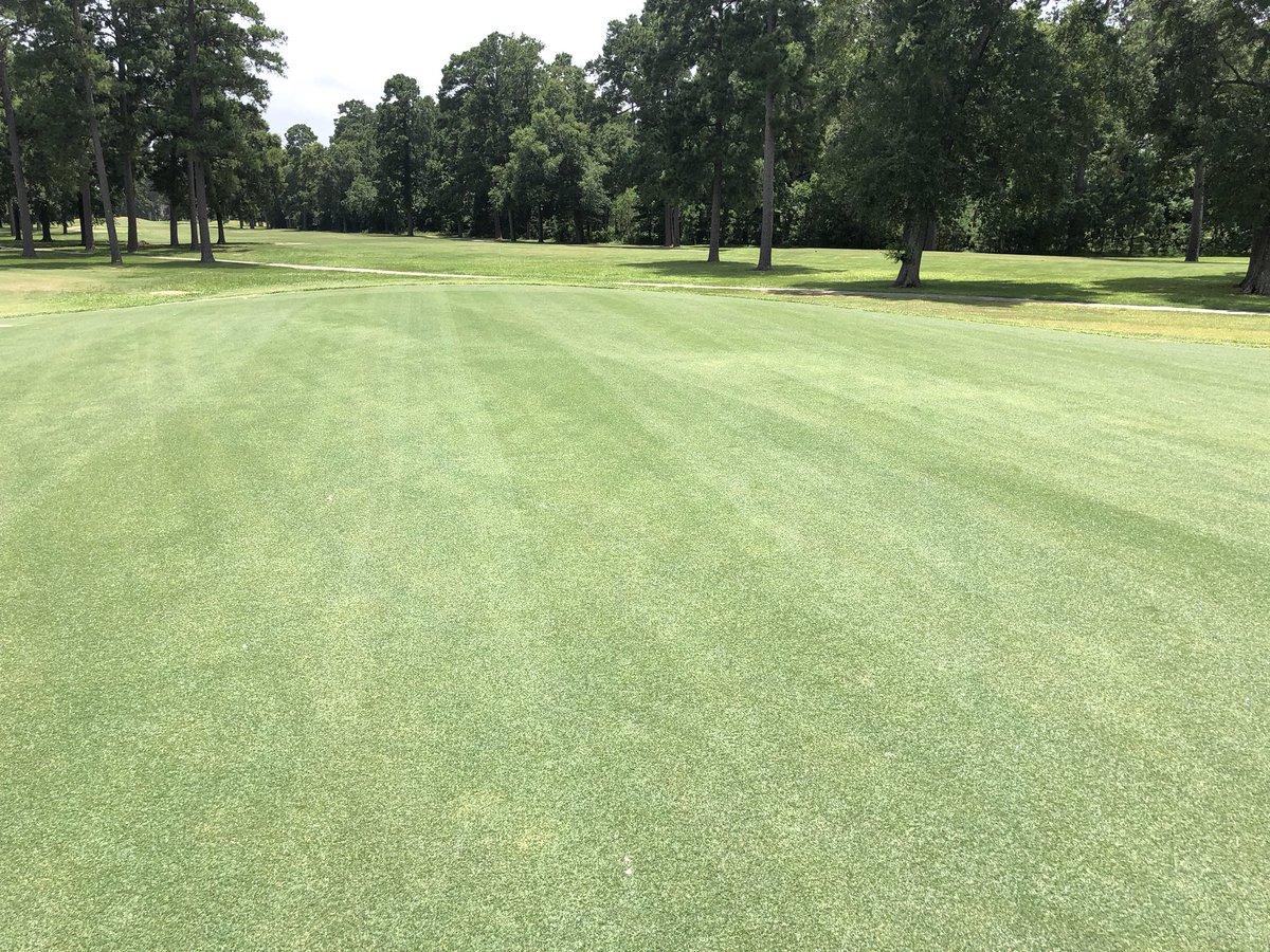 Campbell_Turf's tweet photo. Gro-Power, Hi-Cal lime, @LebTurf products used preplant doing work on this reno job! Looking good twitterless Andrew @StonebridgeNGC https://t.co/9xui1ElRug