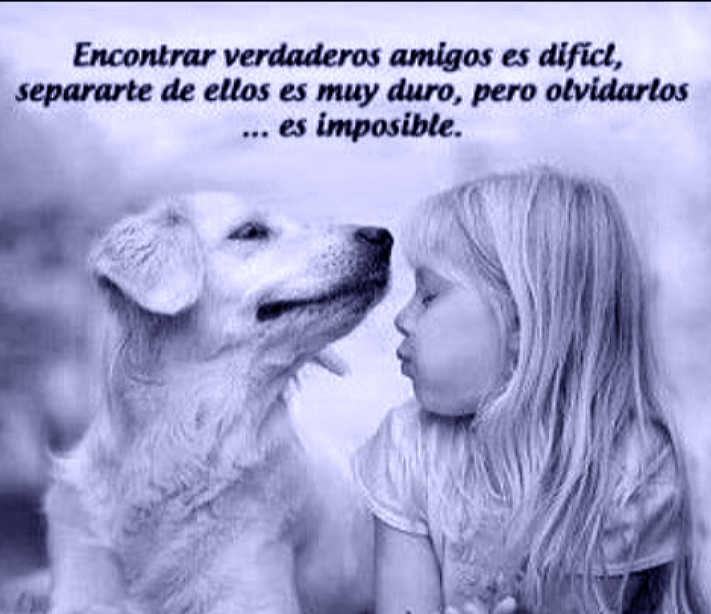 Wiyear17Yepes's tweet photo. @IslaLuna2 #AsíEsYAsíSea
#Preciosa...
#Sonrie,Baila
#EntreElViento...
#VibraYVive
#EnTodos
#LosElementos
#YSobreTodo
#NoDejesDeSer
#ALEGRÍA😉🌞🌜 https://t.co/bHazxlQyR6