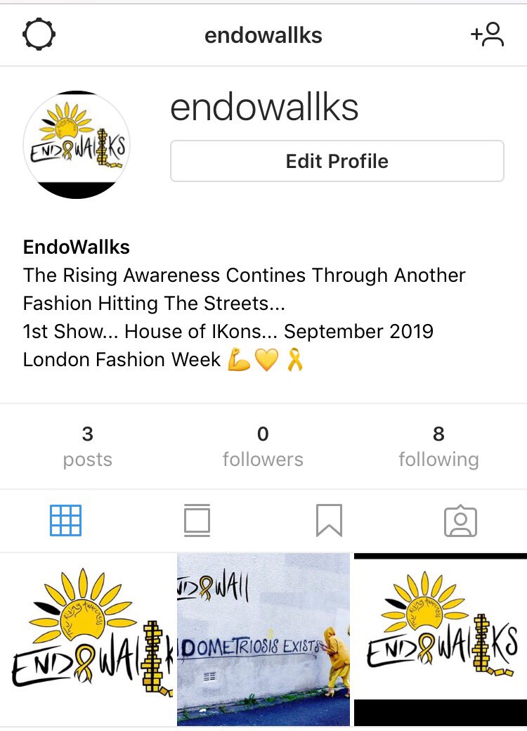 Jaimee Rae - EndoWall - The Rising Awareness tweet media