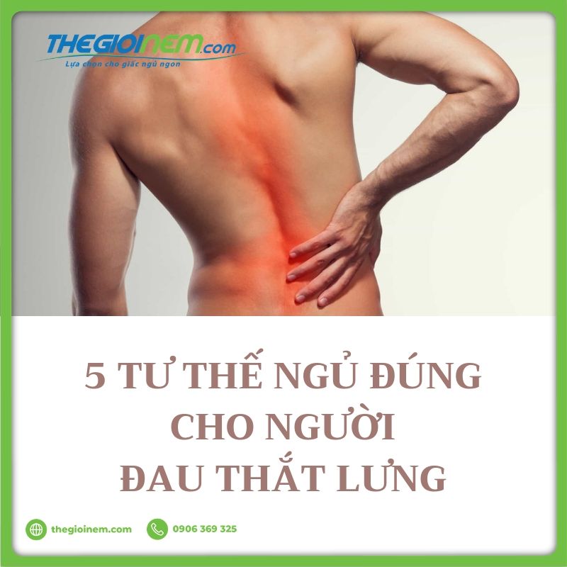 thegioinem's tweet photo. Nằm nghiêng là tư thế đúng, nằm ngửa nên kê gối dưới lưng & chân, nằm sấp không nên!
#thegioinem #heatlthy #habits #sleeping #mattress #cushion #pillow #tips #SleepTips #SelfCare #HealthyLiving #NaturalLiving #SleepBetter
https://t.co/z2PcYt1URu https://t.co/OFSt0zzhzR