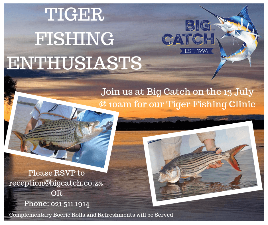BigCatchSA's tweet photo. We'll keep you updated!! https://t.co/Al4qu1kS7R