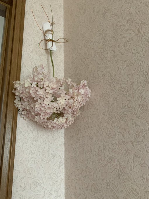 6月の紫陽花守り Shion Note