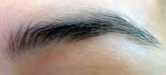 how to shape eyebrows how to shape eyebrows