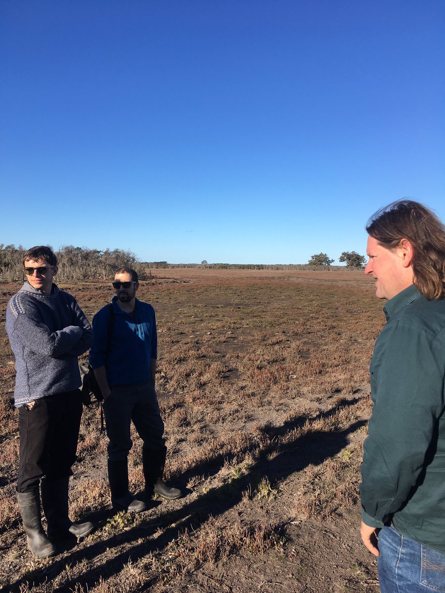 Paul Carnell tweet media