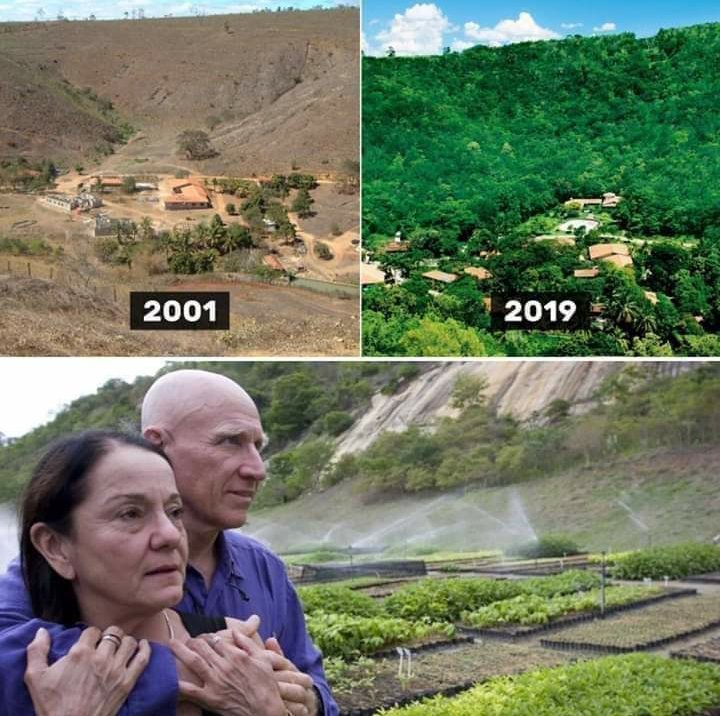 TheGreenLeafIND's tweet photo. This couple from brazil have planted more than 20 million trees in span of 19 years..Huge Respect🙏 inspiration for many😍😍
#GoGreen🌿 #Nature🏕️ #Planting🌱 #TheGreenLeaf🤝 #TGLTeam✍️ #PlantLovers🧱 #PlantTrees✅
Image Source : Internet https://t.co/HC6o0nGeUf