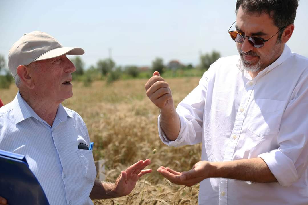 bledicuci's tweet photo. Në fshatin Toshkëz të Lushnjes është një sipërmarrje unike në llojin e vet.👉 ‘AgroArfa’ është vetmja qendër private në Shqipëri për përmirësimin gjenetik dhe prodhimin e farës.✅ Prej 8 vitesh këtu prodhohet farë gruri dhe misri nëpërmjet kryqëzimit me metoda konvencionale. 👍 https://t.co/WUeKNoS9hP