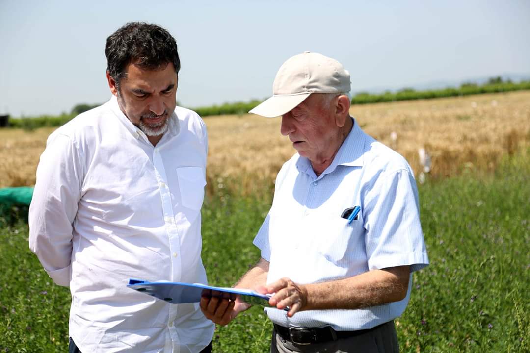 bledicuci's tweet photo. Në fshatin Toshkëz të Lushnjes është një sipërmarrje unike në llojin e vet.👉 ‘AgroArfa’ është vetmja qendër private në Shqipëri për përmirësimin gjenetik dhe prodhimin e farës.✅ Prej 8 vitesh këtu prodhohet farë gruri dhe misri nëpërmjet kryqëzimit me metoda konvencionale. 👍 https://t.co/WUeKNoS9hP