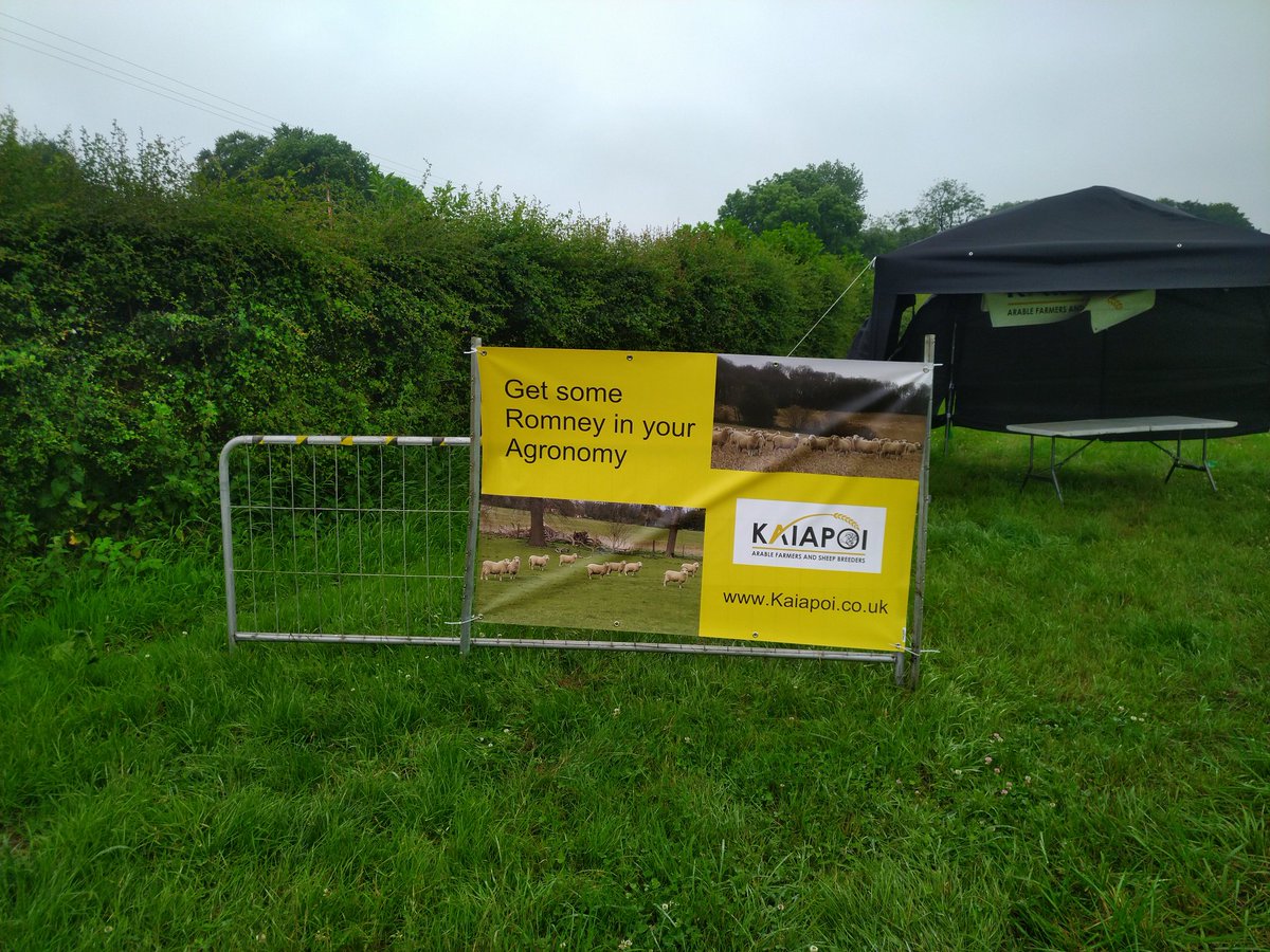 Interested in putting sheep into your arable rotation? Come and see us <a href="/Groundswellaguk/">Groundswell Festival</a> <a href="/natsheep/">National Sheep Association</a> <a href="/PrecisionGraze/">Precision Grazing Ltd</a>