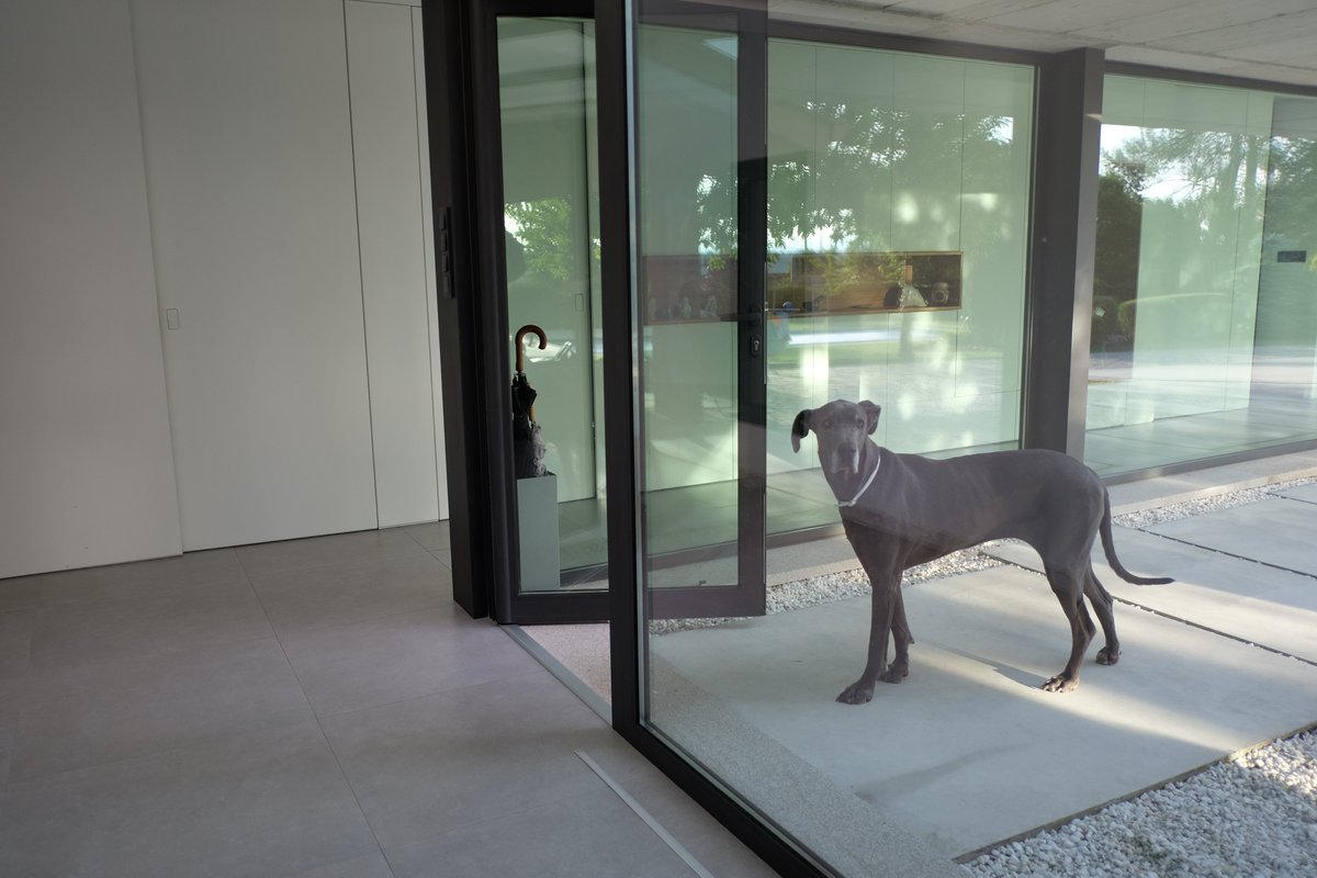 equipoeme's tweet photo. Proyectos 'dog friendly' 🐶
#interiorismo #ourense https://t.co/QqFRr2lAXQ