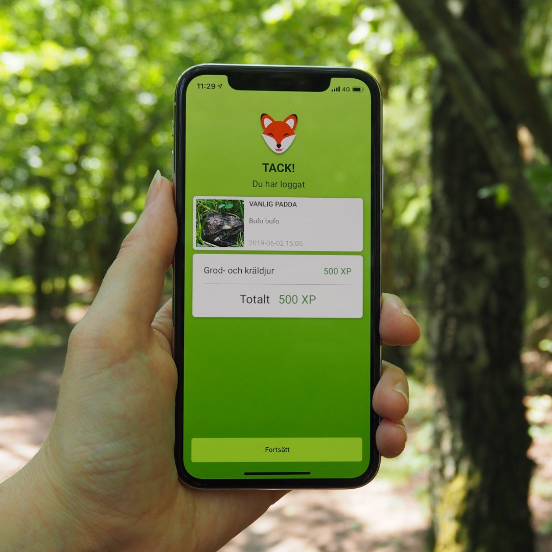 biologg_'s tweet photo. Nu är Biologg ute även på App Store! Det går dock inte att söka efter den ännu, så installera den genom att öppna den här länken från mobilen:
https://t.co/mpFfyIceiS
#biologg #appstore #mobilspel #natur https://t.co/Y0eqUbOf0Z