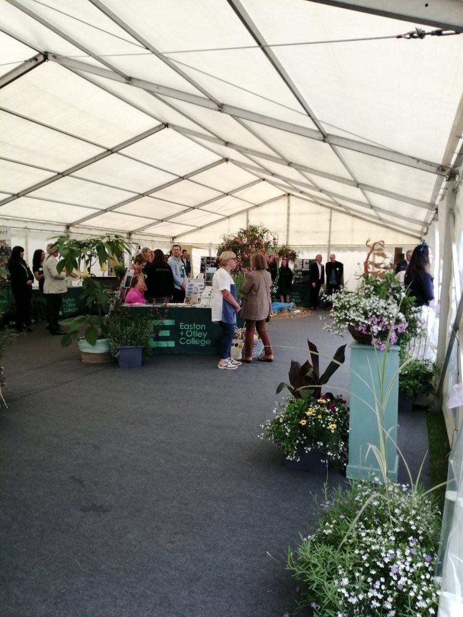 Alison Cromack tweet media