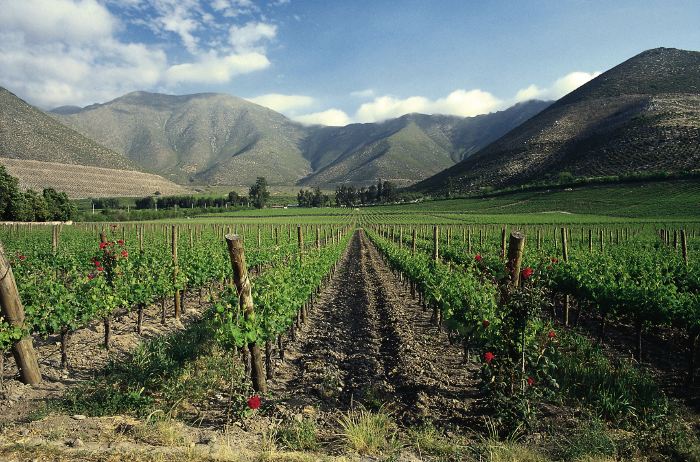 Retour en images sur notre participation à la dégustation des grands vins du #Chili <a href="/OIV_int/">OIV</a> ►bit.ly/2Nej9jP  🇨🇱<a href="/errazurizwines/">Errazuriz Wines</a> <a href="/ValdiviesoChile/">Valdivieso</a> <a href="/DeMartinoWines/">Viña De Martino</a> <a href="/ProChile_FR/">ProChile France</a>