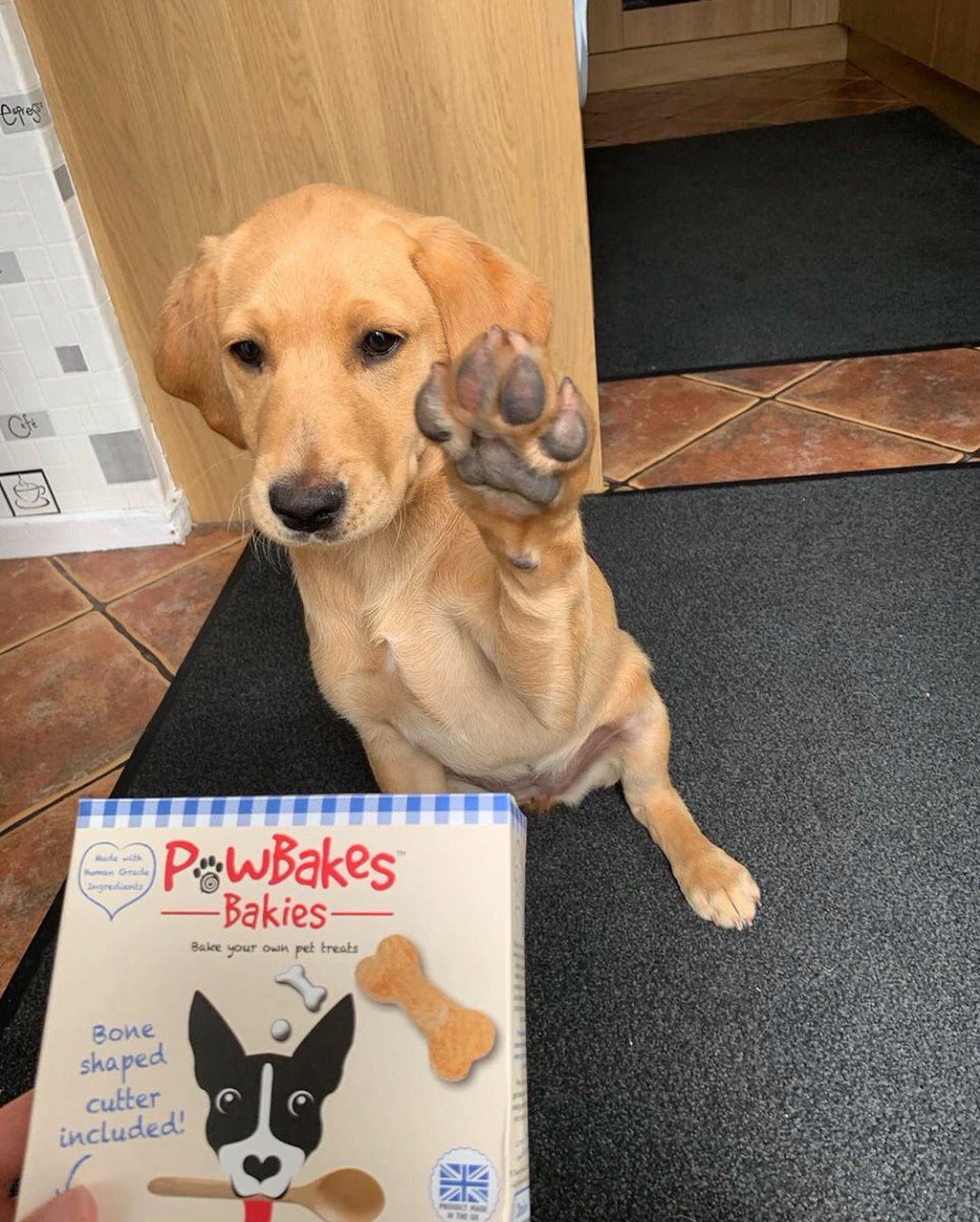 PawBakes's tweet photo. Paws up for your favourite treats πΎππ¬ #PawFive #TuesdayMorning #TuesdayThoughts #TuesdayMotivation #PawBakes https://t.co/6puDuWp8j0