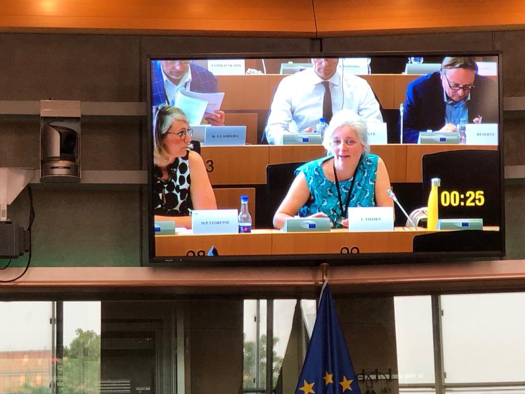 CarolineVoaden's tweet photo. our European allies, we can build a better Britain leading in Europe, not leaving.
#StopBrexit #LibDemTeam #LibDemMEPs #LibDems https://t.co/dzsilcVtXV