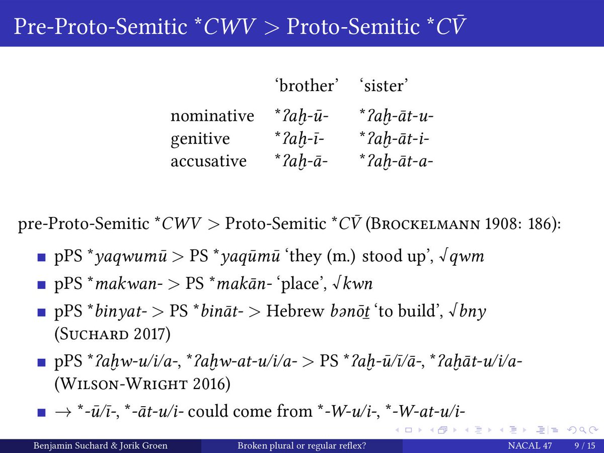 Dense slide. The pattern of long and short vowels in the plural endings is reminiscent of a few kinship nouns. Here, it has been explained as deriving from a sound law that deleted *w and *y between a consonant and a vowel, lengthening the vowel. Could also work for the pl endgs.