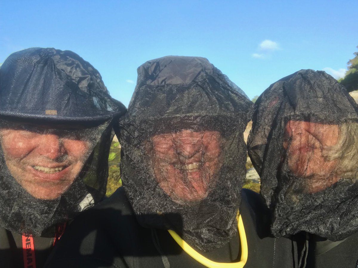 ⁦@Jazeyfantazy⁩ ⁦<a href="/Subseatv/">Andy Jackson</a>⁩ Early morning dive in Lochcarron , buzzzz !!