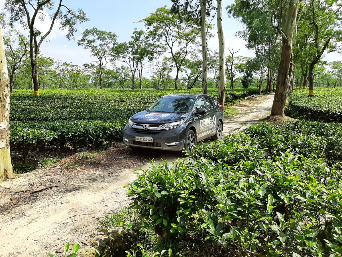 NikhilPuthran07's tweet photo. @HondaCarIndia #DriveToDiscover9 ended on a high note yesterday. Stay tuned for our travel adventure story on @Car_Trade @CarWale as we speak in detail about our four day journey across Guwahati-Majuli-Pasighat -Dibrugarh-Kaziranga-Guwahati! https://t.co/jf2bFULAyX