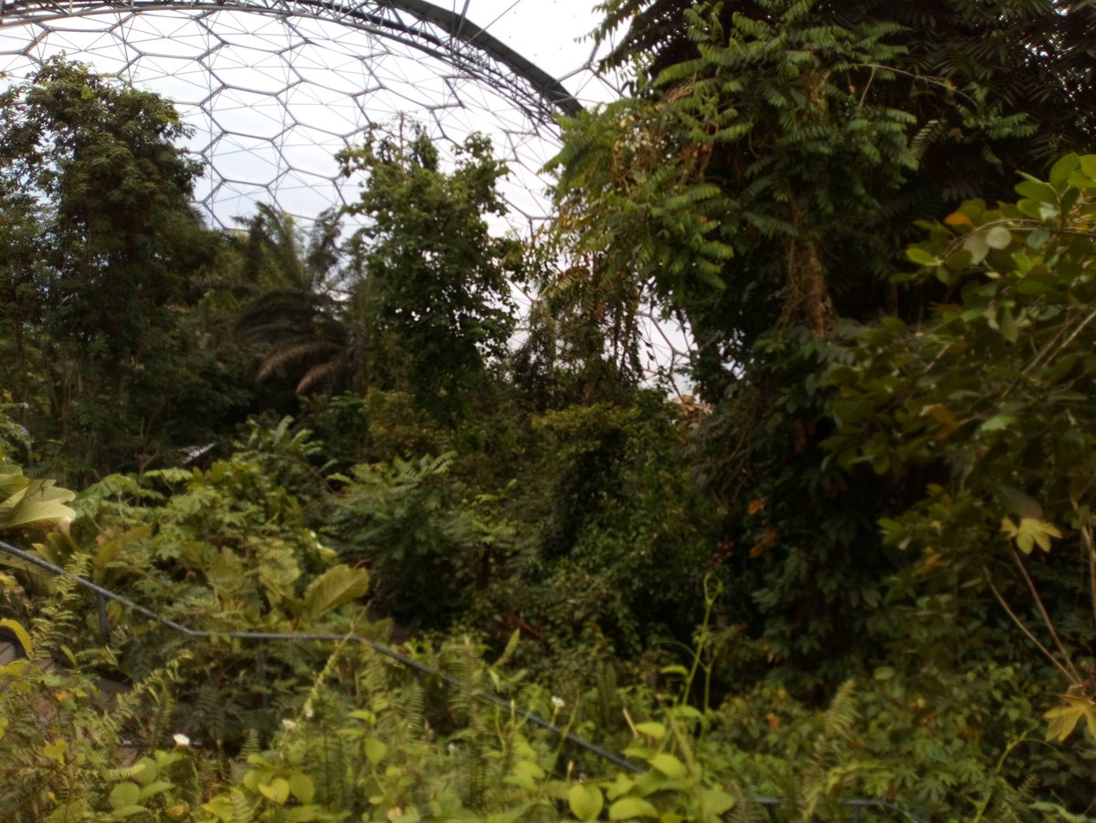 HZG_Trips's tweet photo. Inside the biome @HazlegrovePrep #edenproject https://t.co/pihlHnx1q7