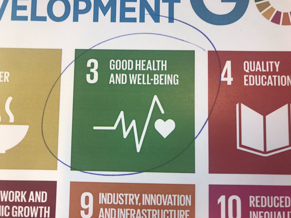 Proposed two steps towards #SDG target 3.8 on #UHC at #BSRS2019 today: 1) coordination to ensure access to #healthcare for moving populations 2) include #irregularmigrants in national health systems. Panel: @MayElinStener @sveinbaera @Utenriksdept @EdvardHviding @UiB