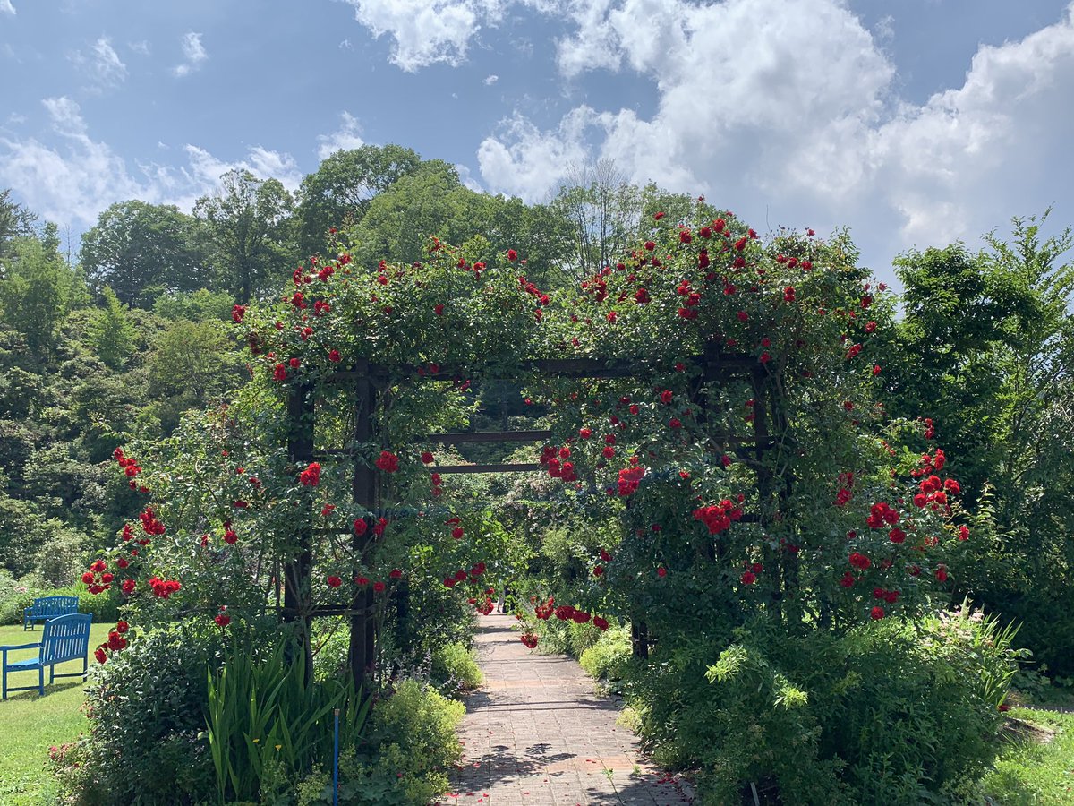 ガーデンナーセリー グリーンスポット Izumi Greenspot Twitter