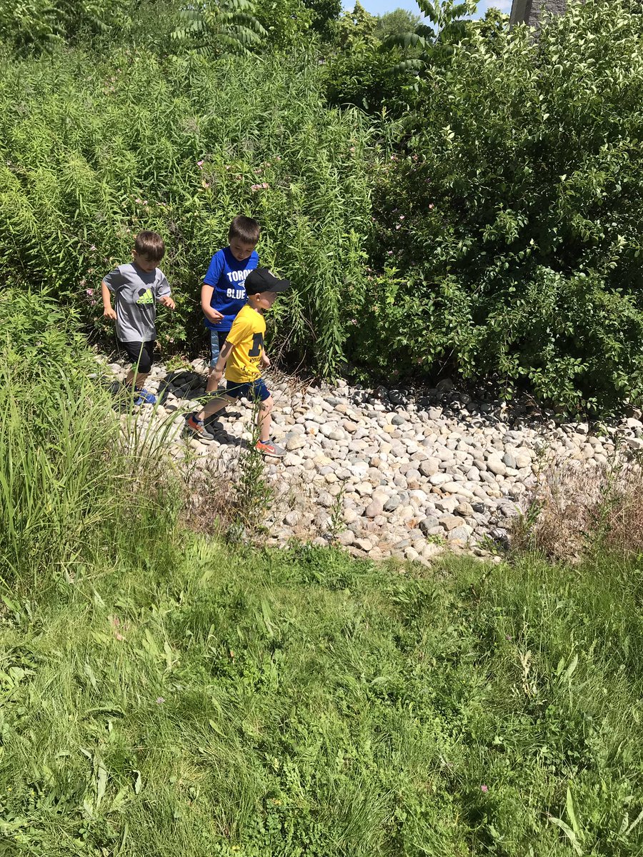 Grade1Morris's tweet photo. Beautiful summer days in the rock garden! Going to miss all these little people! https://t.co/vEaNgzYo5Y