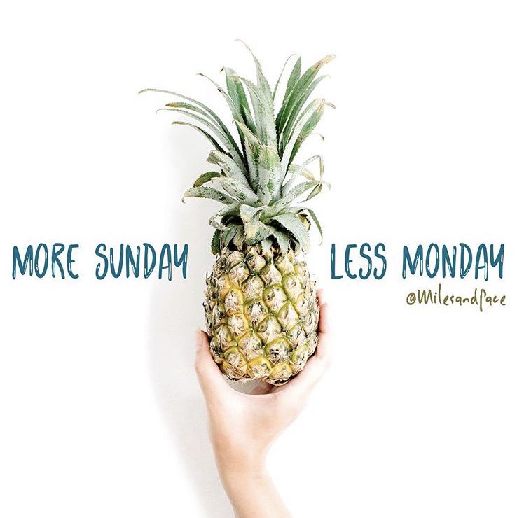 milesandpace's tweet photo. How we're feeling about today.
#mondaymood #mondays #mood #run #runner #lessmonday #moresunday https://t.co/XDxsQYXdlI