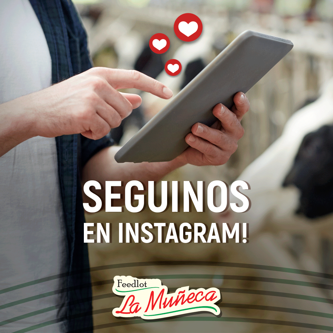 FeedlotM tweet picture