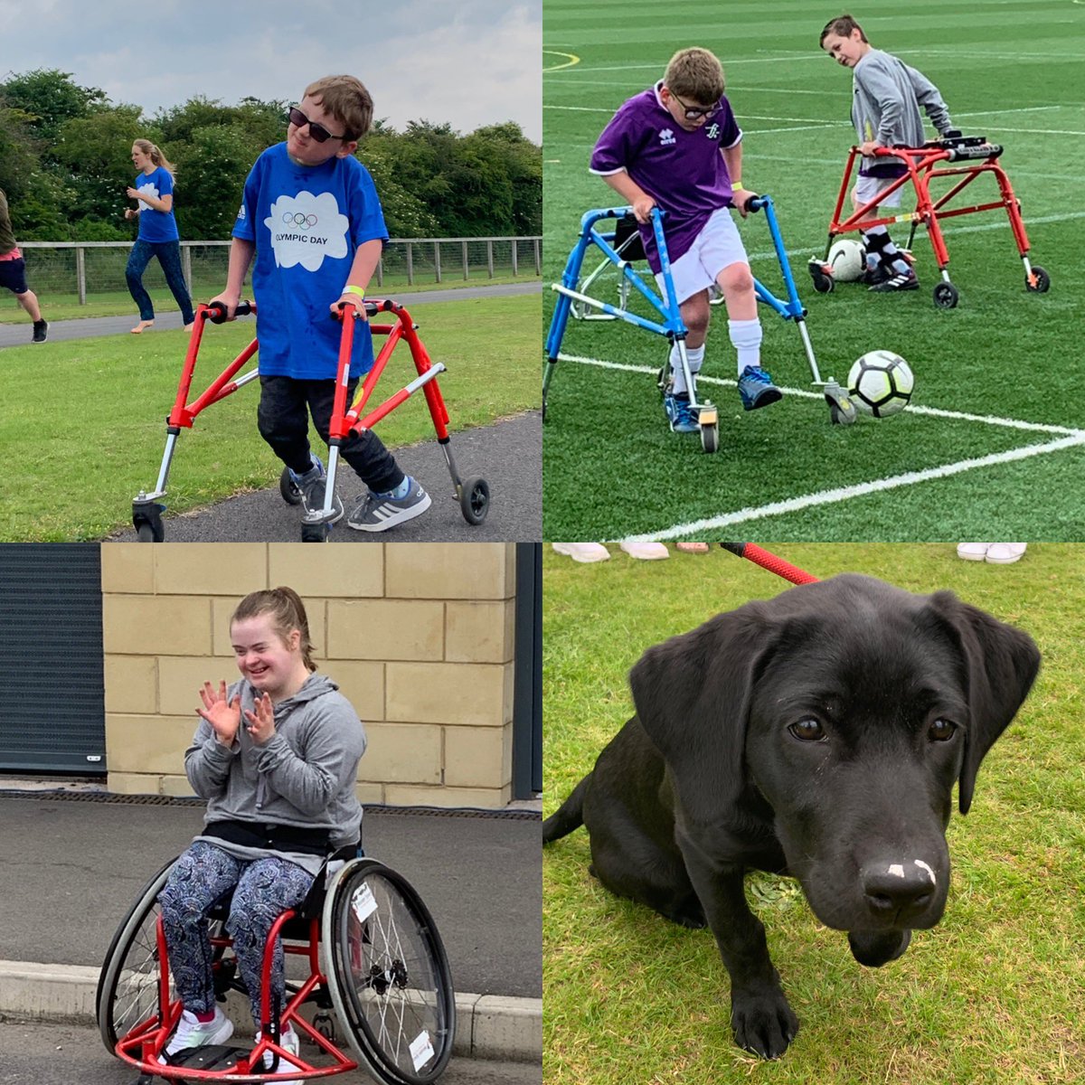 trygamesbath's tweet image. A big thank you to all our partners&amp;amp; sponsors who made yesterday a truly fantastic event @GinaEHopkins @TeamBath @BR_Foundation @fireandbrew @iscreamtacos @bcfccommunity1 @Bristolframef @TomcatSNILtd @Circomedia @super_pirates @CommofPurpose @NovaSportsCoach @Curo_Group