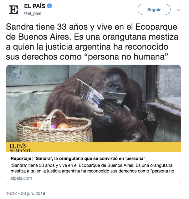 Pues si Sandra es una persona no sé a qué esperan para liberarla. De lo contrario estarían cometiendo un delito de detención ilegal. Luego Sandra tendrá que inscribirse en el censo y ponerse al día con Hacienda. Ser persona tiene sus servidumbres.