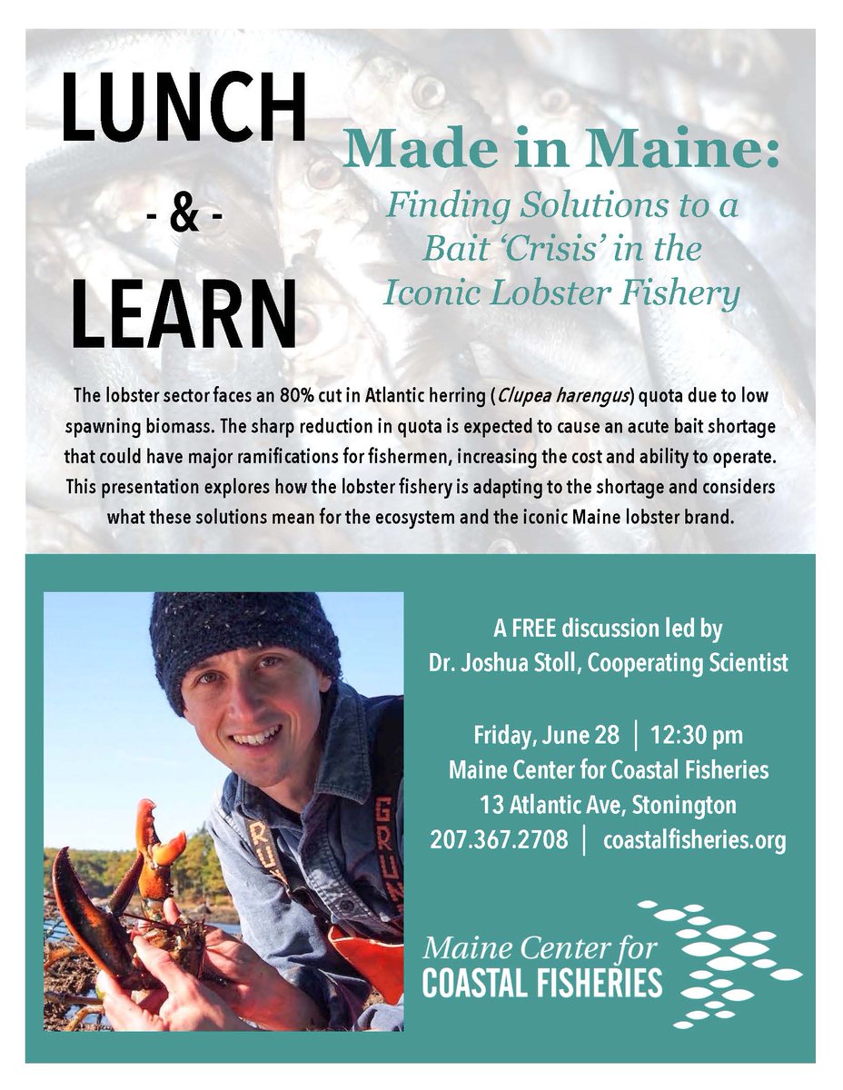 mccfisheries's tweet image. Don't forget to join us THIS Friday for the second talk in our #LunchAndLearn summer series. This week we're talking the bait crisis Maine's lobster fishery is facing. Please join us for this important talk. FREE and open to the public. #SaltWaterFreshThinking #StoningtonMaine