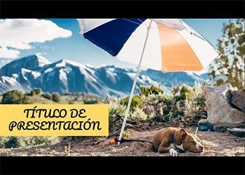 slidespower's tweet image. Plantilla de presentación Perros slidespower.com/es/plantilla-d…