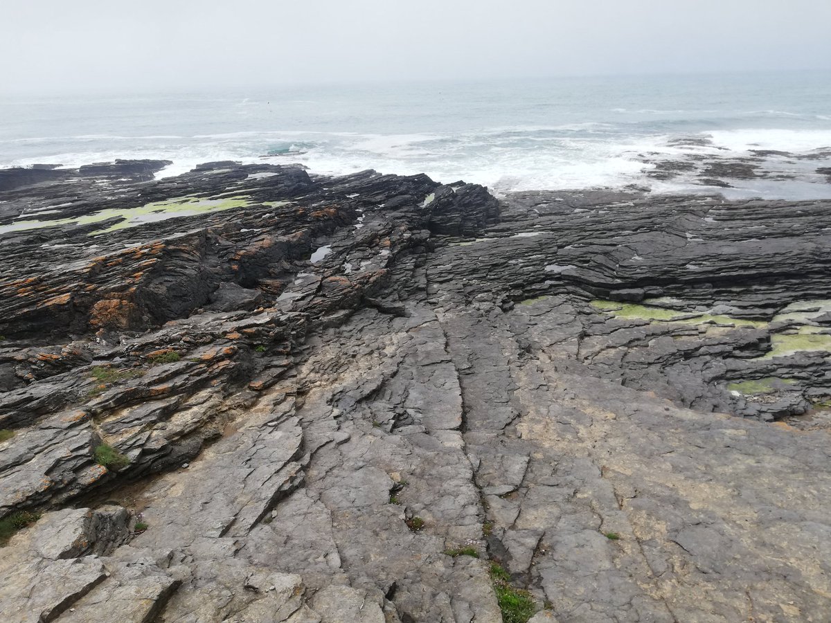 Fucus_Whisperer's tweet photo. Hunting seawalls for new experiment to be launched...at some point. Occasionally getting lost in sea mist. Stay tuned for more #marbee #misadventures.
#PhDchat https://t.co/Hv95lXYsnn