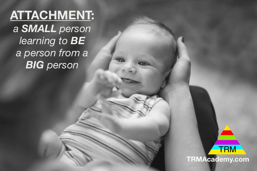 TRM Academy tweet media