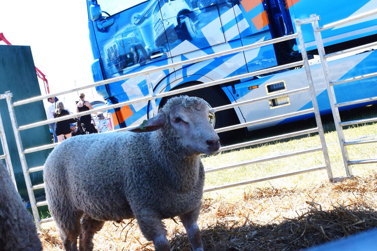 FordSlaterDAF's tweet photo. The Royal Norfolk Show kicks off tomorrow. What's everyone mostly looking forward to? #norfolk #RNS19 #royalnorfolkshow @norfolkshow https://t.co/IsQ1Mq66I8