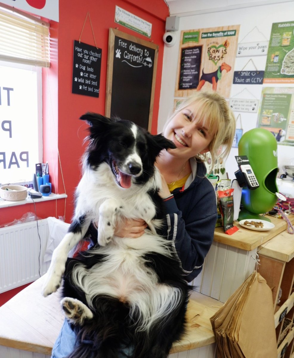 UrbanPetStore_'s tweet image. Good Morning from Natalie and Forza! 🙋🏼‍♀️🐶

#garforth #leeds #uk #yorkshire #westyorkshire #petshop #garforthpetshop #theurbanpetstore #petsupplies #puppylove  #bordercollie
