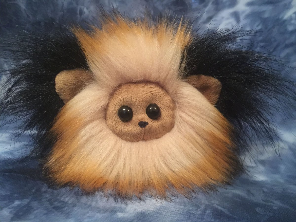 RealButtonWings's tweet photo. Is this #FuzzlePuff a #Golden #Lion or a #Brown #Fox ?

#FuzzlePuffs #ButtonWings #polls #cute #fluffy https://t.co/OWDysuw8Js