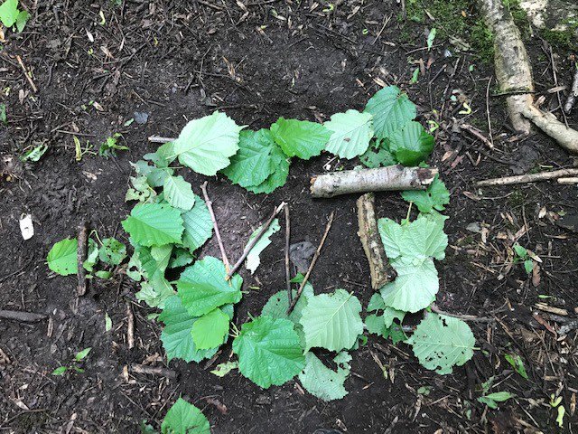 Being creative down in the woods today #wildtribe #wtsymbols #outdoors #sunny #fire