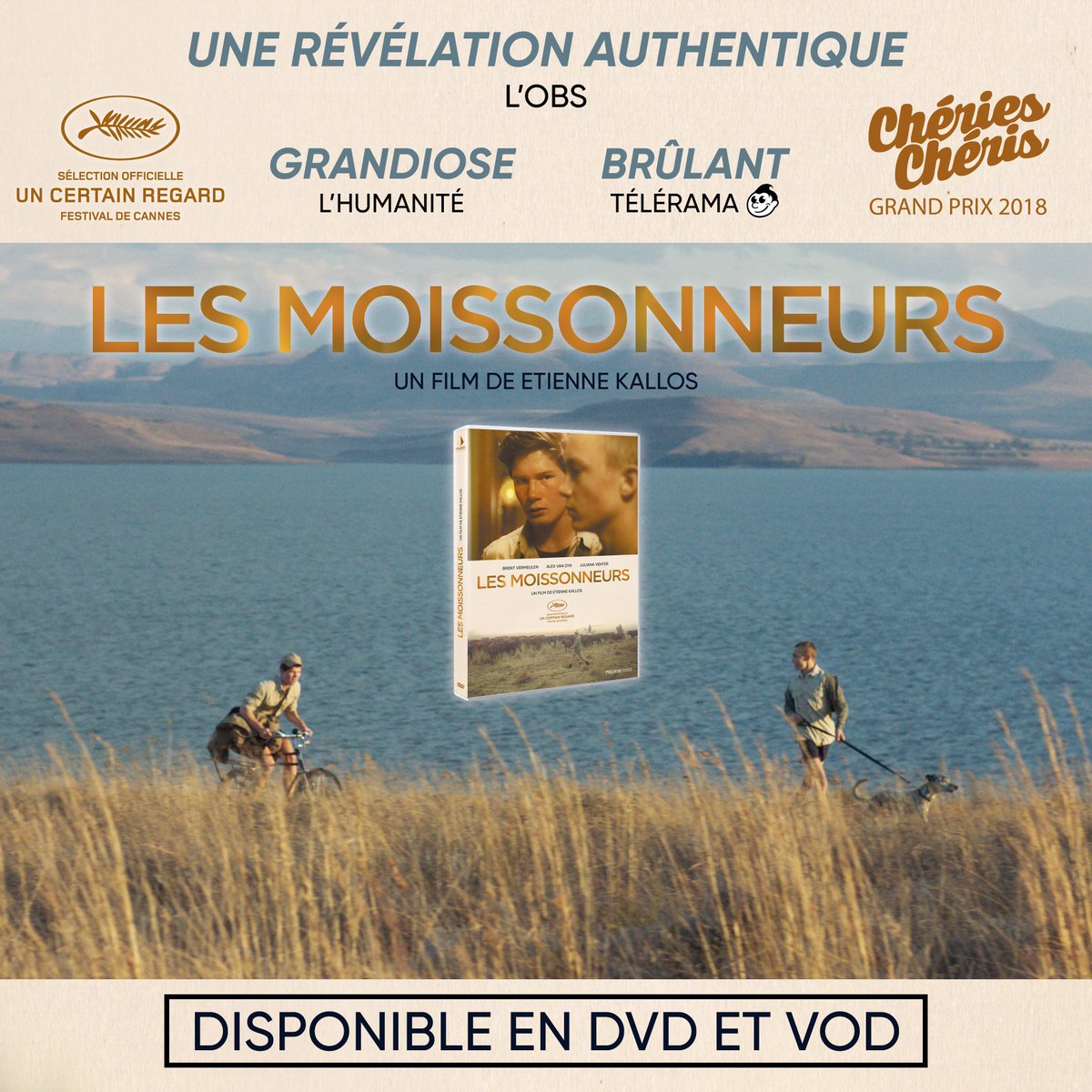 Pyramide Vidéo tweet media