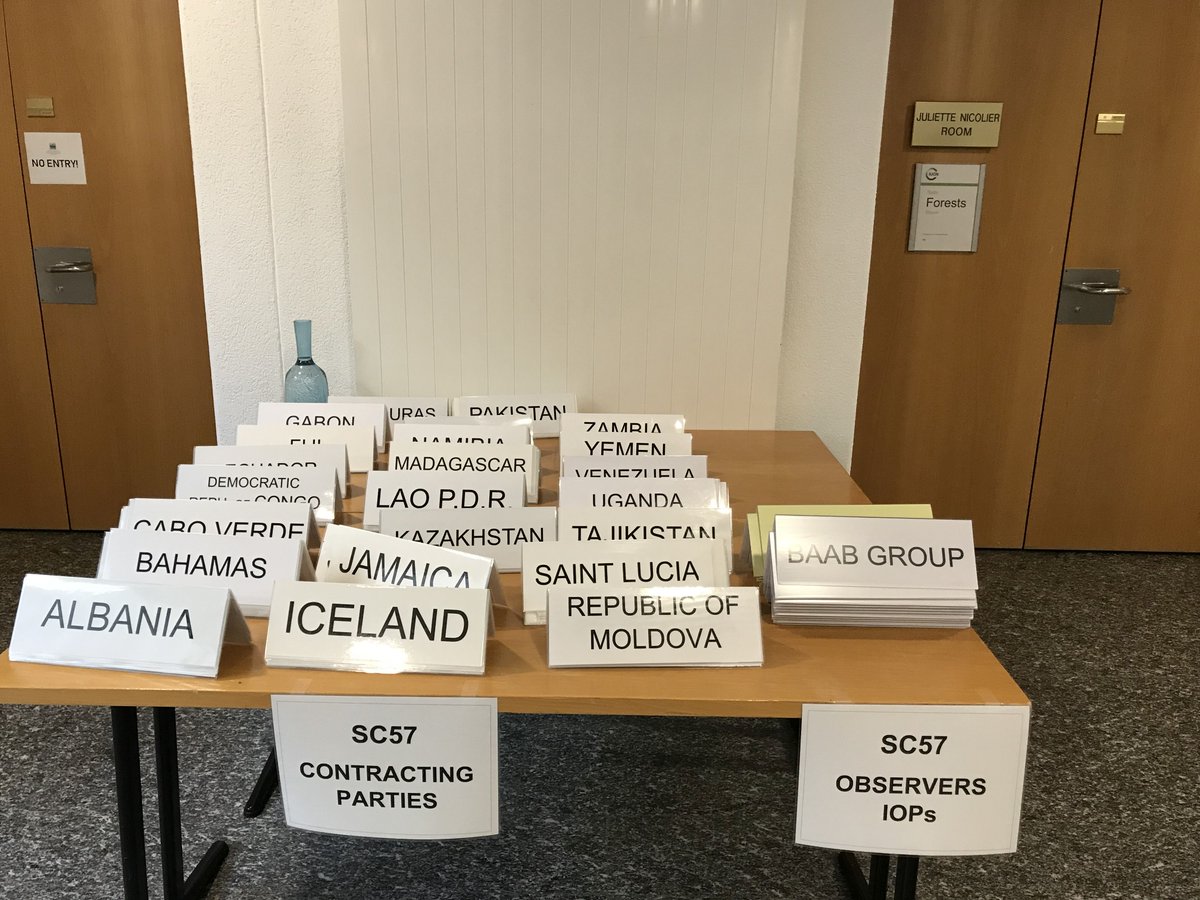 RamsarConv's tweet photo. What are the most urgent challenges facing the world’s #wetlands? A key question that will be on the agenda for #StandingCommittee57 taking place 24-28 June 2019, Gland, Switzerland. Documents & Agenda🔗 https://t.co/DaSClwLGNq #SC57 https://t.co/RGNlK342qB