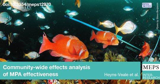 DiveBuddy tweet media