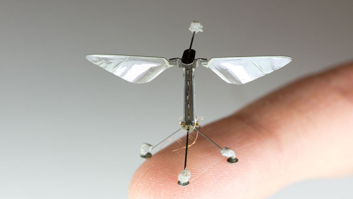 RocaGallery's tweet photo. #SmallDisruptionBigImpact Microrobots to the Rescue. Are tiny pollinating drones a plausible solution to the declining bee population? Article by @debikaray #technology #innovation
https://t.co/sH5VoNi9KQ https://t.co/b03Iym5wpb