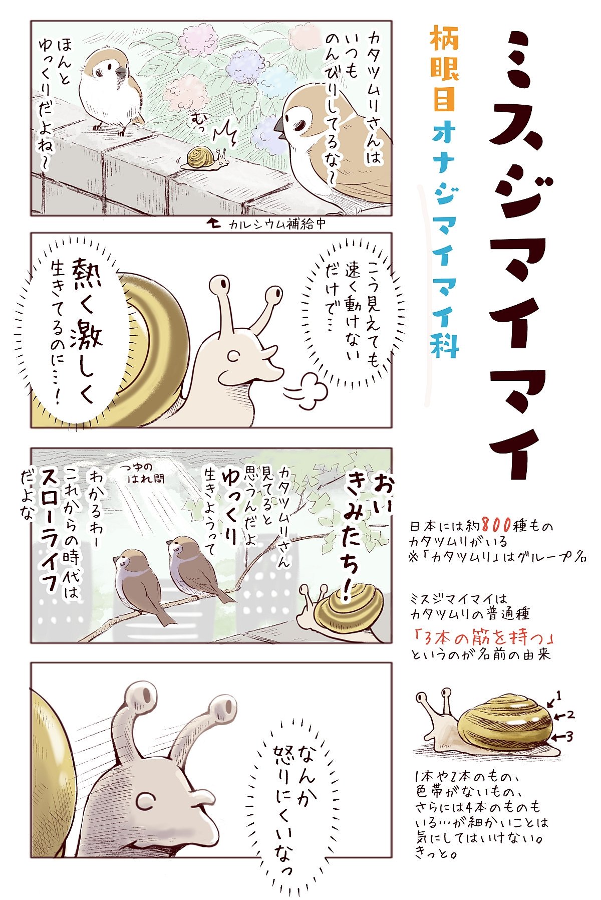 一日一種 En Twitter わいるどらいふっ 第141 142種 梅雨の生き物 カタツムリはなぜコンクリートを食べるのか 一日一種 En Twitter わいるどらいふっ 第141 142種 梅雨の生き物 カタツムリはなぜコンクリートを食べるのか