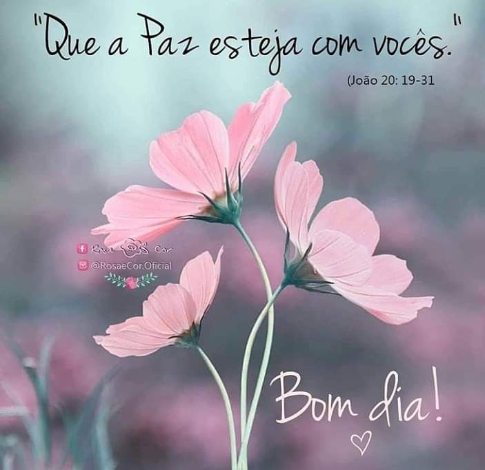 Twitter 上的 Luciana Castro: Twitter 上的 Luciana Castro:
