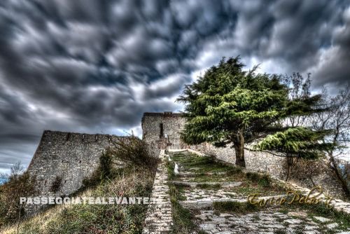 snapgle's tweet photo. "Untitled" by Enrico Pelos is a trending photo on #Snapgle! https://t.co/LrMKM7WLgS https://t.co/ZmXhd7twzq