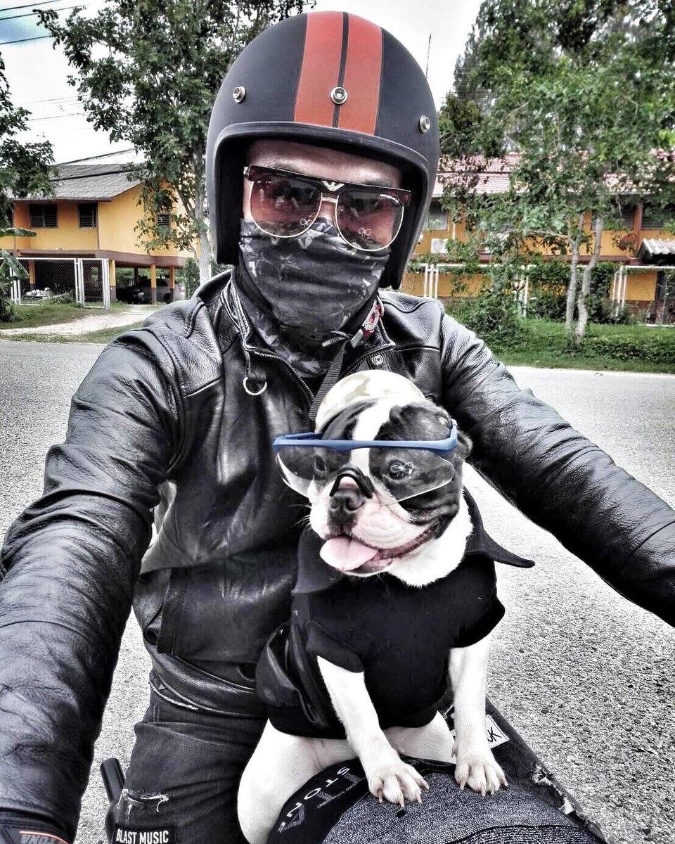 TeamRobertsLtd's tweet photo. Jojoe with his faithful companion ๐ถ ๐ธ
#triumphfans #triumphfansfrance #triumphfrance #triumpht120 #motowithdogs #triumpht120black
#jojoet120 Triumph Fans France https://t.co/kZsEsZVaWi